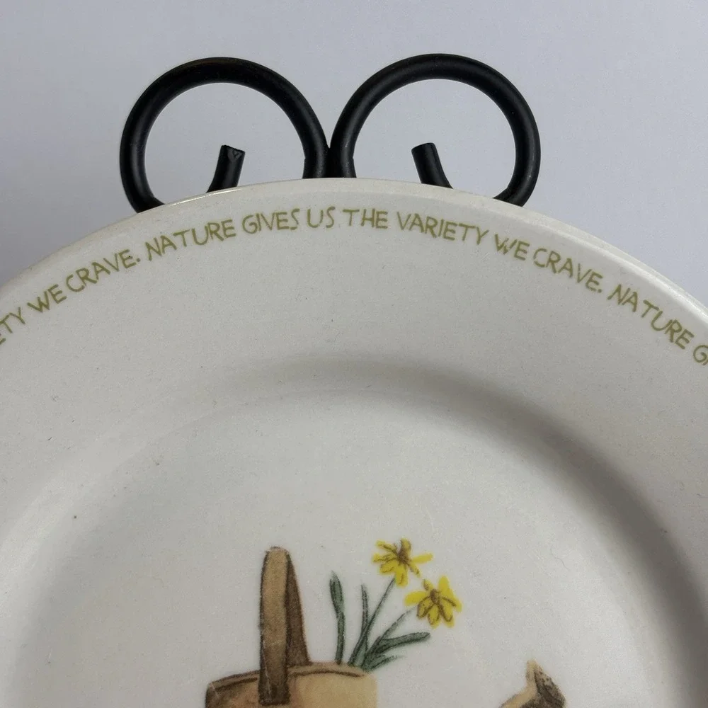 Thomson Pottery My Garden 8